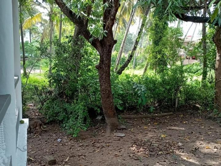 Diniz In South Goa *